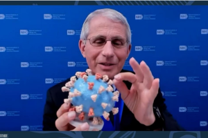 Fauci Lieologist Courtesy National Museum
