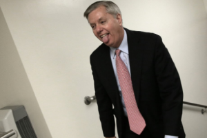 Lindsey Graham Lapdog