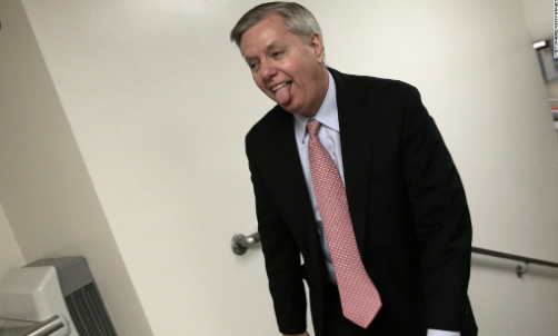 Lindsey Graham Lapdog